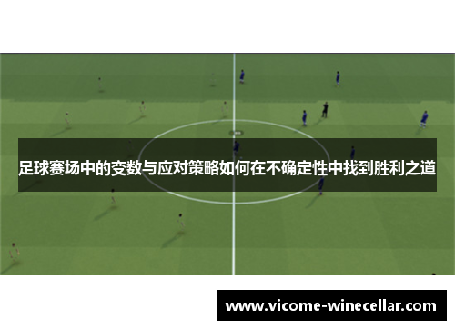 足球赛场中的变数与应对策略如何在不确定性中找到胜利之道