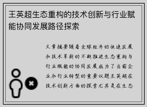 王英超生态重构的技术创新与行业赋能协同发展路径探索