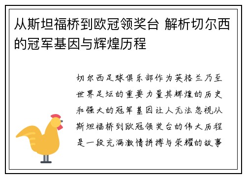 从斯坦福桥到欧冠领奖台 解析切尔西的冠军基因与辉煌历程