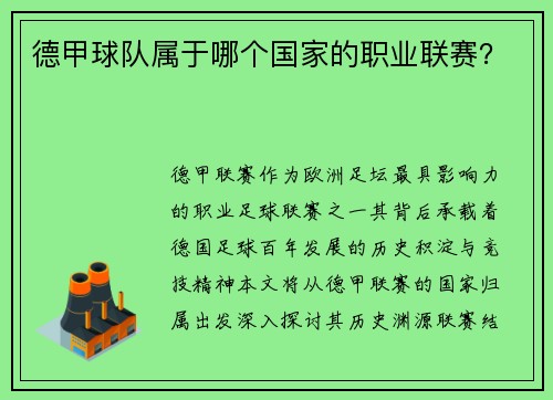 德甲球队属于哪个国家的职业联赛？